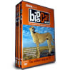 Big Cat Diaries DVD Set
